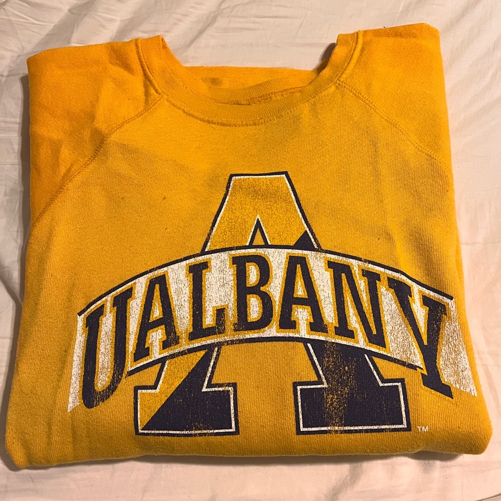 U Albany sweatshirt